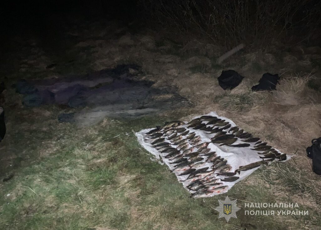 На Камінь-Каширщині чоловік наловив риби майже на пів мільйона гривень 