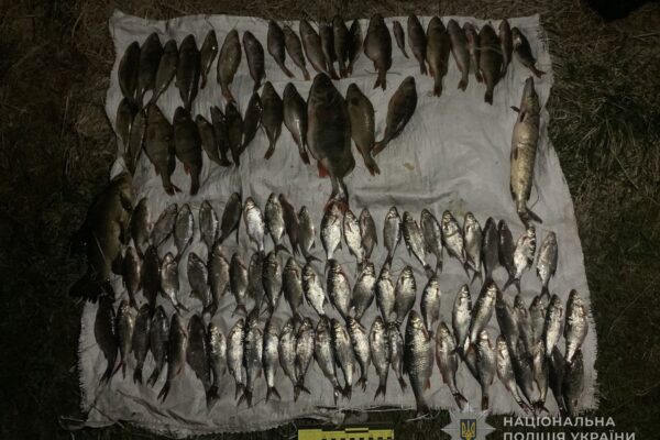 На Камінь-Каширщині чоловік наловив риби майже на пів мільйона гривень 
