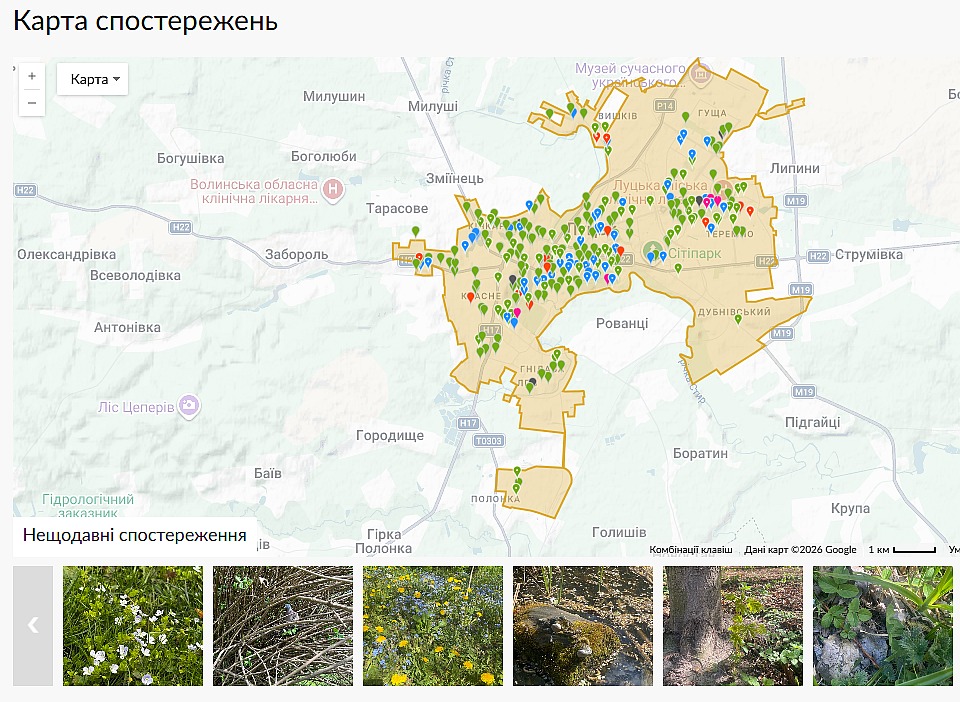 Луцьк — у трійці лідерів з екологічних досліджень 