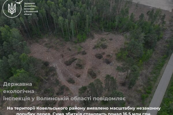 незаконна порубка дерев на Ковельщині
