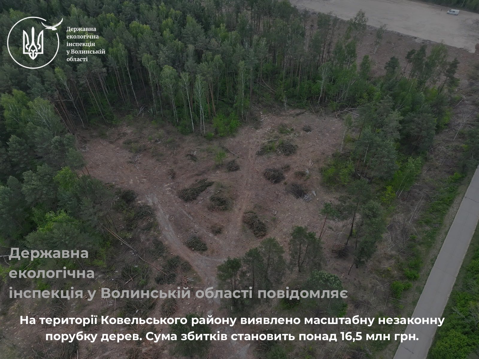 незаконна порубка дерев на Ковельщині