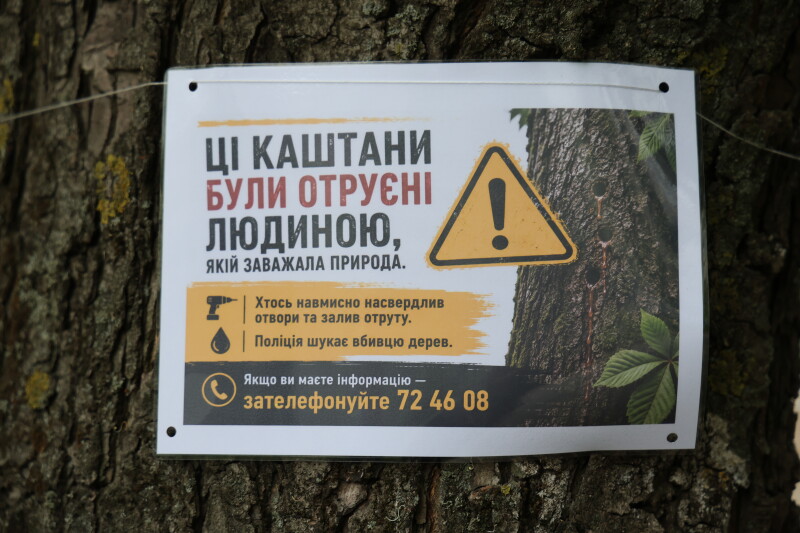 У Луцьку невідомі отруїли 8 дерев 