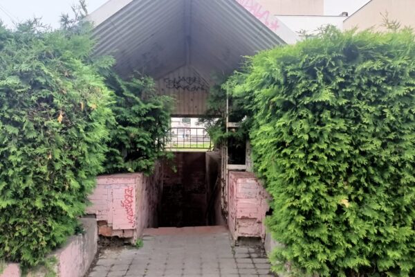 Антисанітарний стан громадських туалетів у місті Луцьку