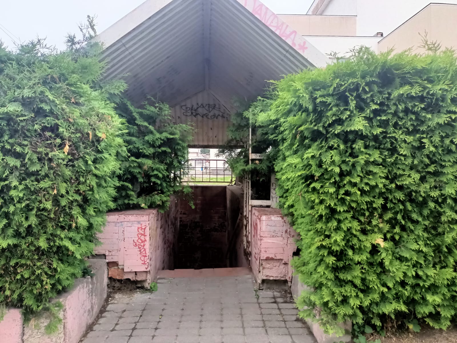 Антисанітарний стан громадських туалетів у місті Луцьку