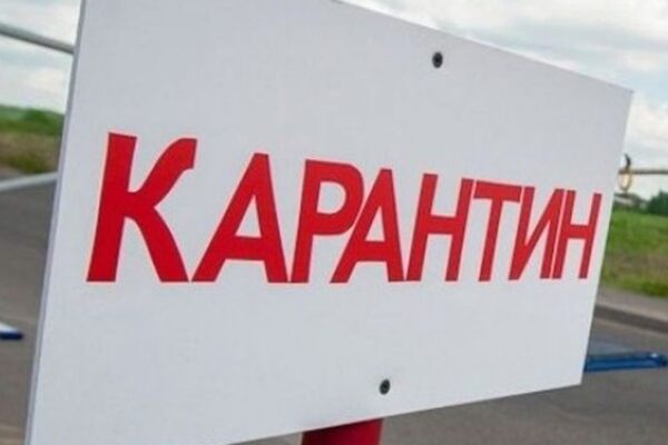 У селі біля Ковеля ввели карантин через лисицю 