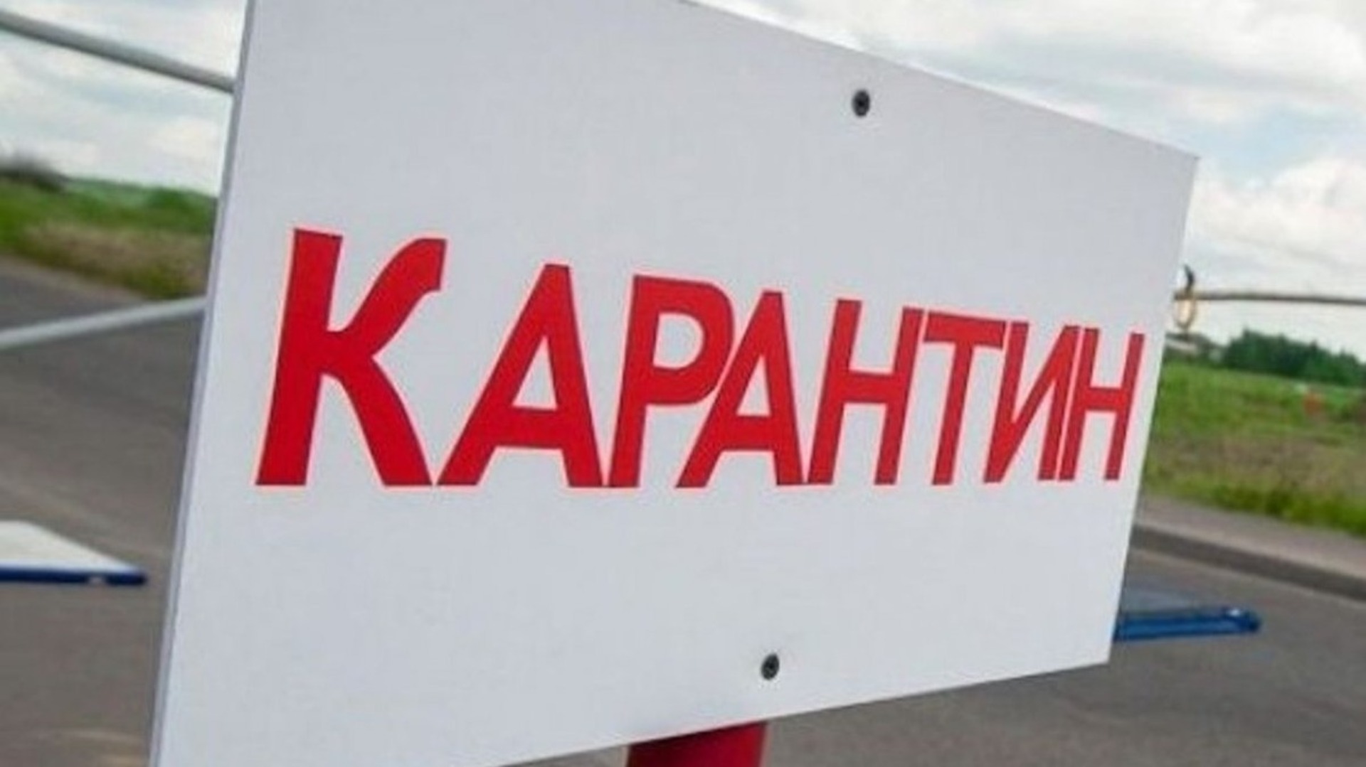 У селі біля Ковеля ввели карантин через лисицю 