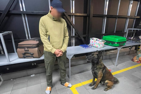 На Волині чотирилапі “прикордонники” двічі виявили наркотики 