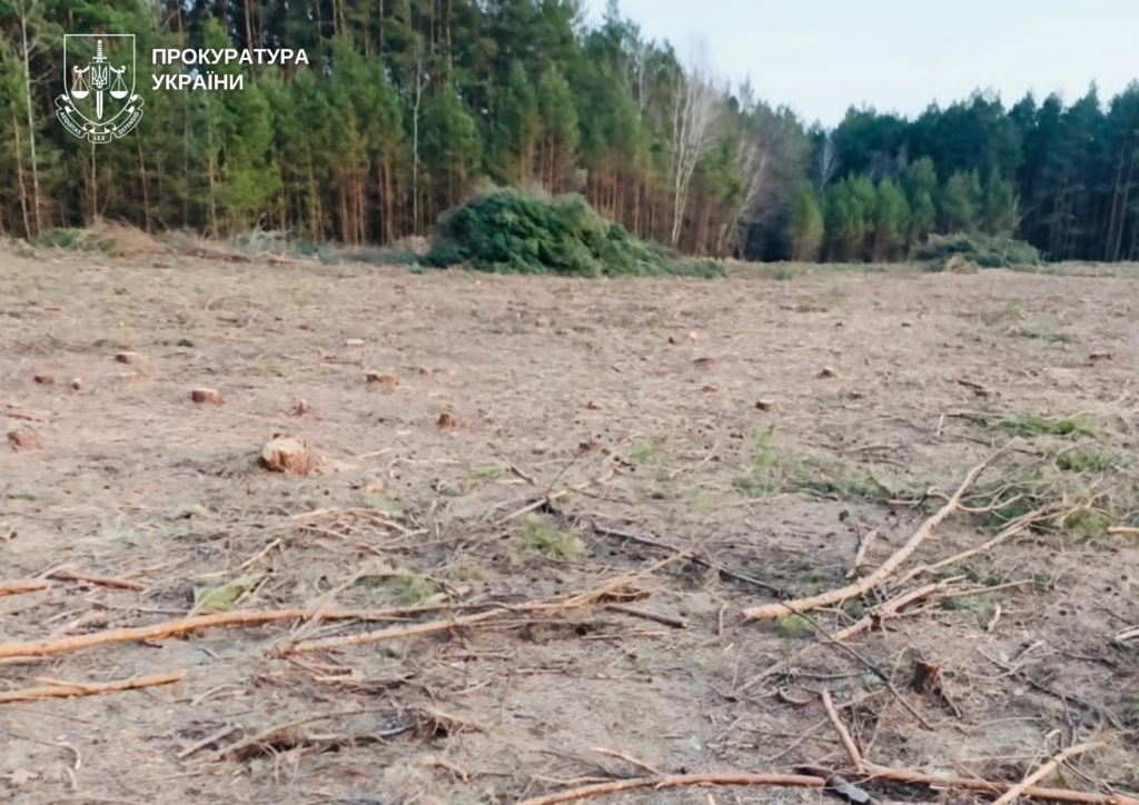 На Волині судять сільського голову за незаконну порубку