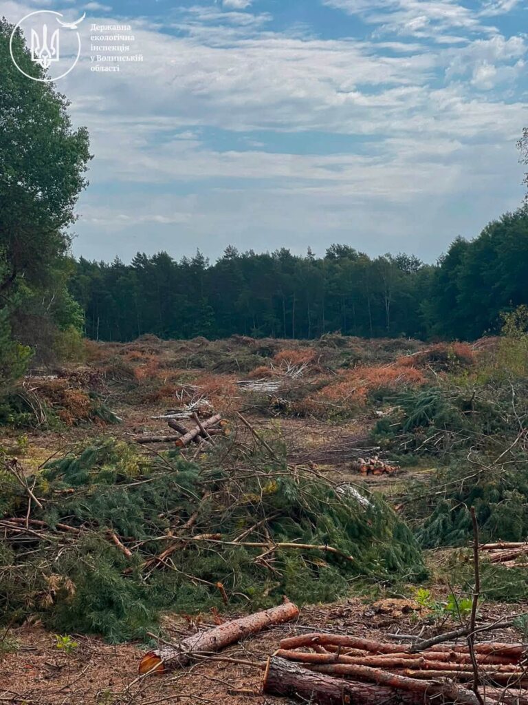 На Камінь-Каширщині виявили незаконну рубку 