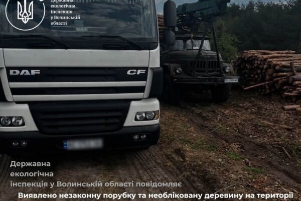 На Камінь-Каширщині виявили незаконну рубку 