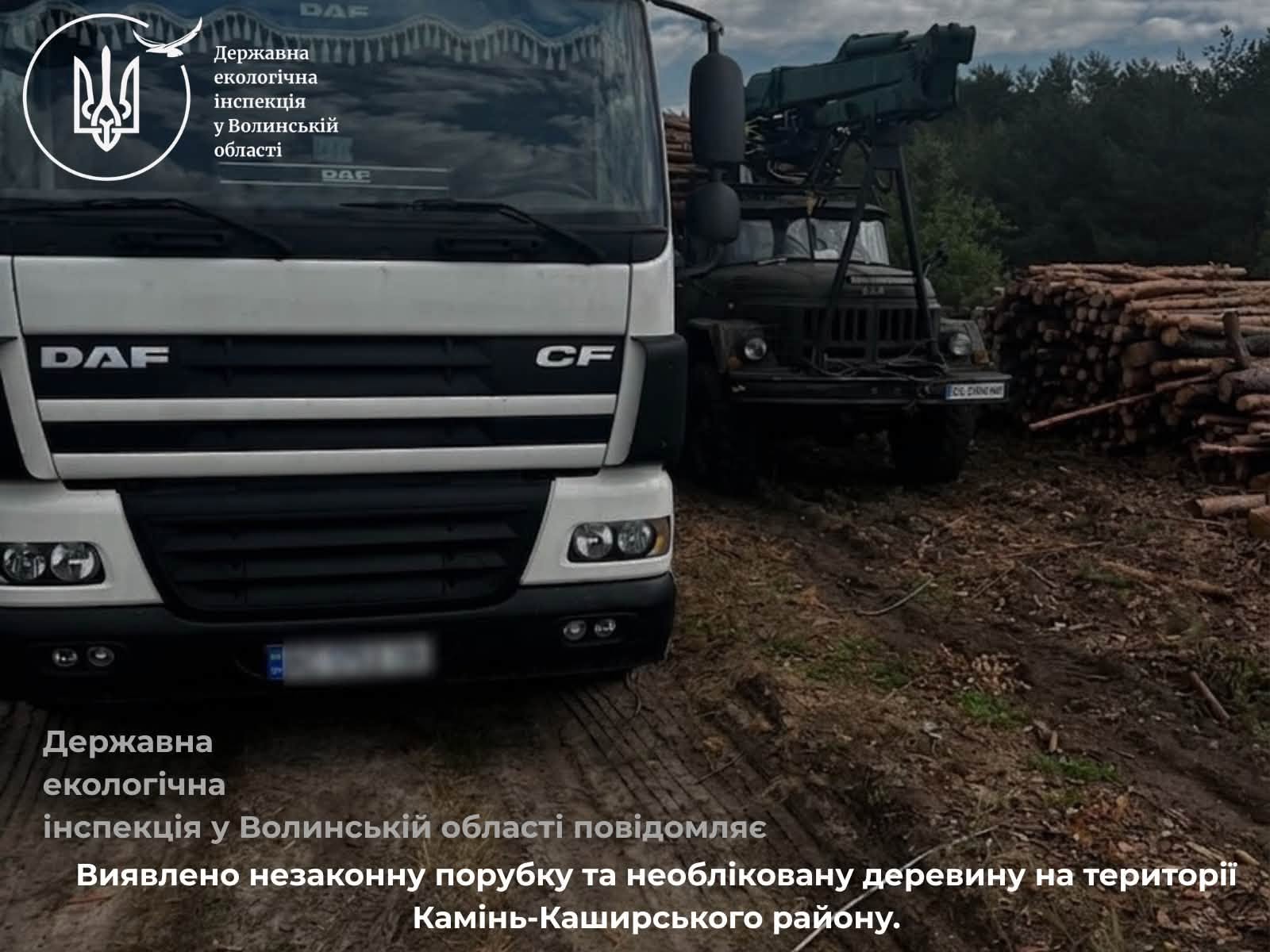 На Камінь-Каширщині виявили незаконну рубку 