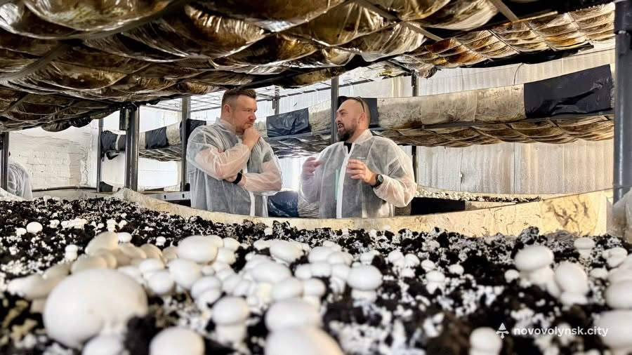 Ветеран з Волині відкрив грибну ферму на місці закинутих приміщень