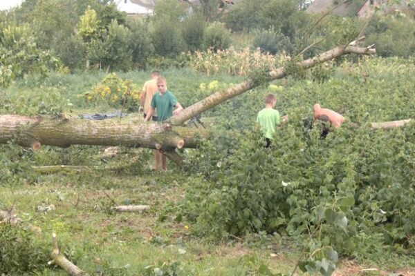 Торчин буревій Кревський наслідки відновлення