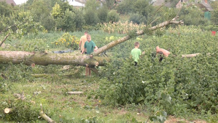Торчин буревій Кревський наслідки відновлення