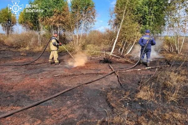 На Волині п'ятий день намагаються загасити пожежу на торф'янику 