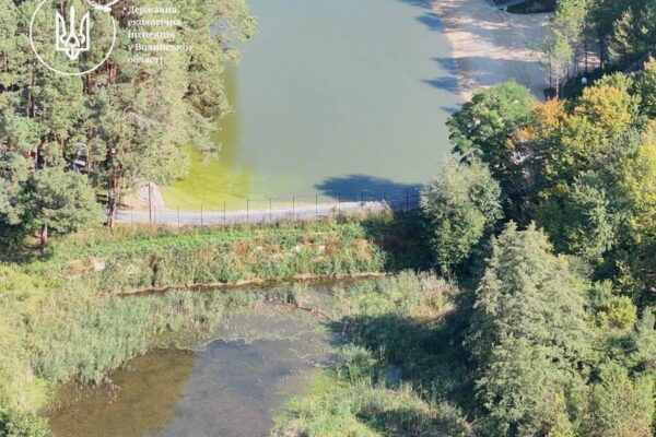 Поблизу Луцька спорудили незаконну дамбу та обмежили доступ до води 