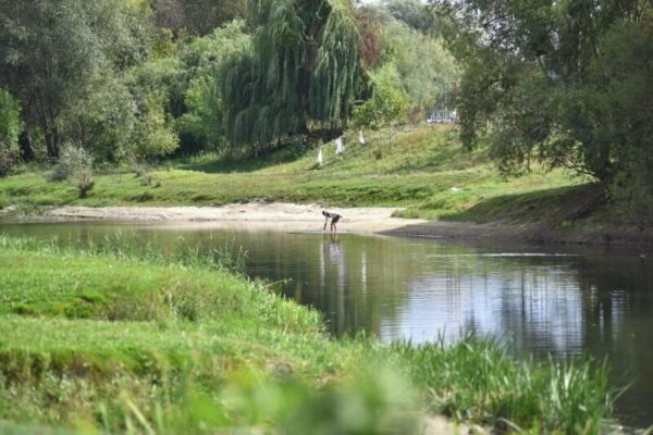 У Луцьку планують побудувати пішохідний міст до Рованців 