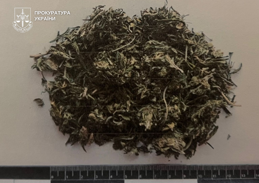 Волинянина засудили за наркозлочини та незаконну зброю