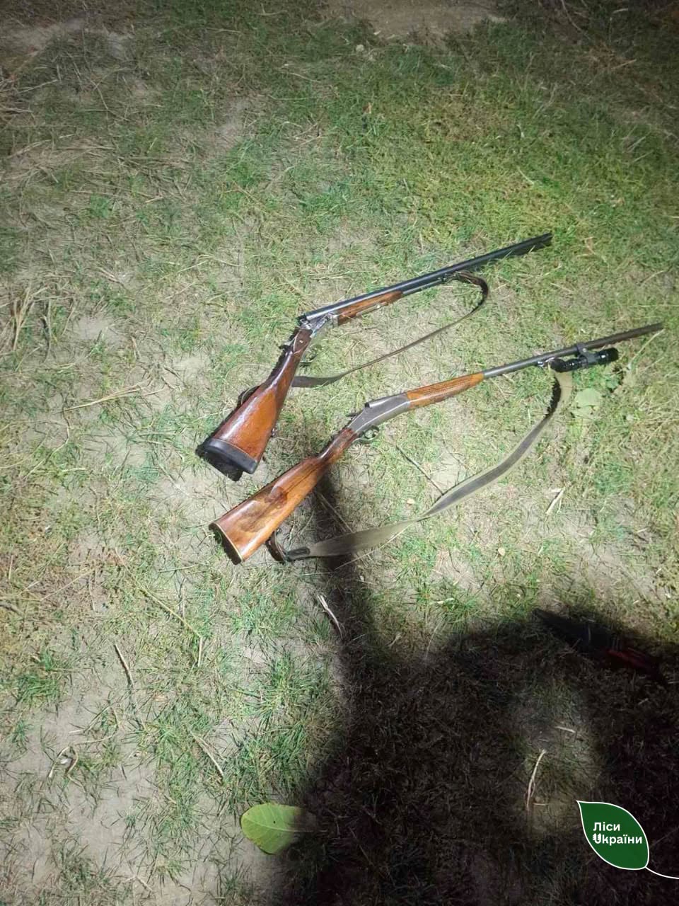 На Волині єгері зупинили браконьєрів та врятували косулю  