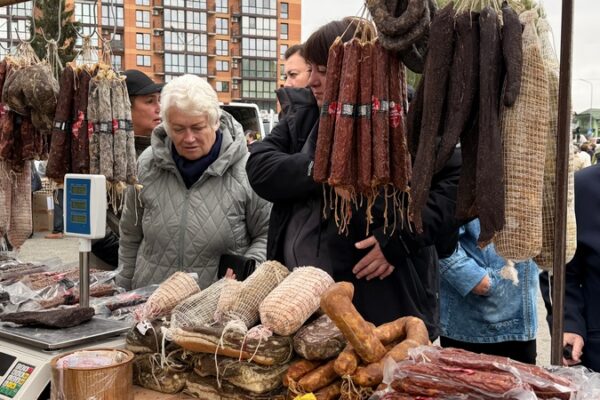 Володимир ярмарок осінньої продукції