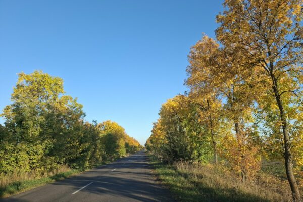 Погода Волинь 4-10 жовтня 2026 року Сонячно без дощів тепло