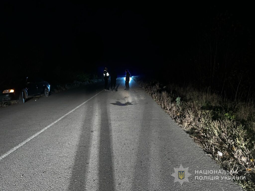 ДТП на автодорозі у Володимирському районі